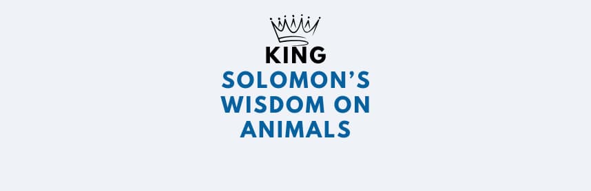 King Solomon’s Wisdom on Animals